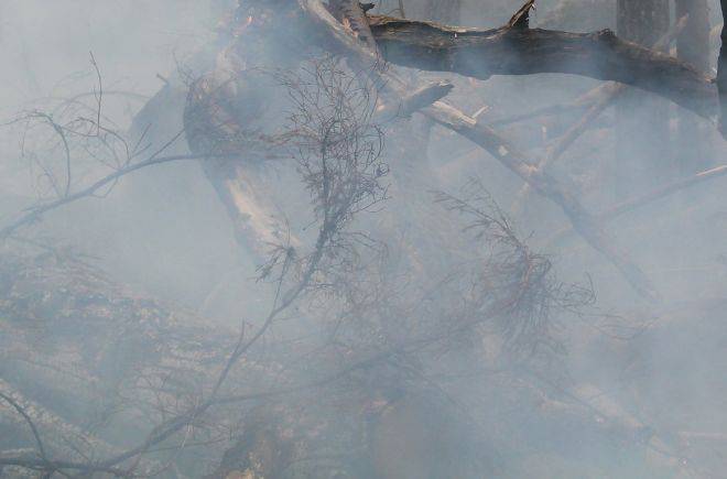 Гігантська пожежа на військовому полігоні в Нижній Сілезії