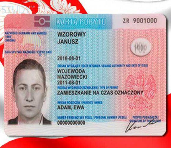 441 тисяча іноземців в Польщі отримала карту побиту