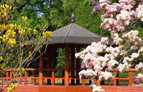 Сьогодні у Вроцлаві відкрили Японський сад: можна прогулятися