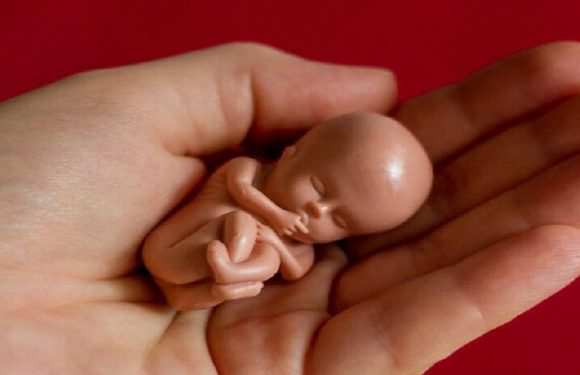 Заборона абортів в Польщі може збільшити попит на цю процедуру в Україні