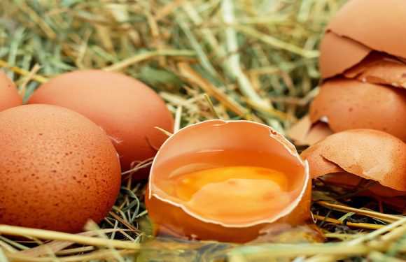 «Бєдронка» більше не продаватиме ці яйця: варто готувати гаманці
