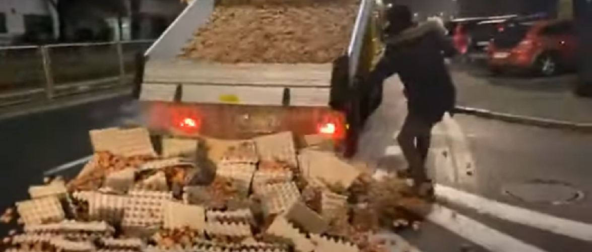 Капуста, картопля, свині, яйця… на вулицях Варшави – фермери протестують [+ВІДЕО]