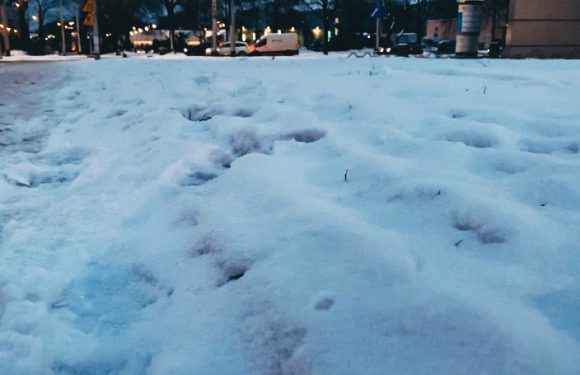 Інтенсивні снігопади та морози у Польщі: ускладнення на дорогах та ДТП
