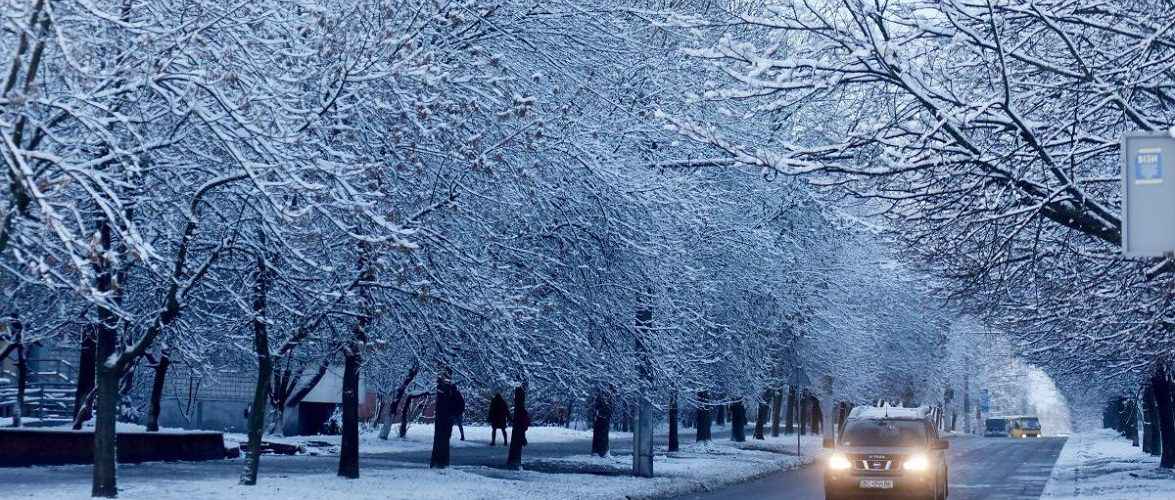 Морози у декількох воєводствах Польщі — попереджають метеорологи