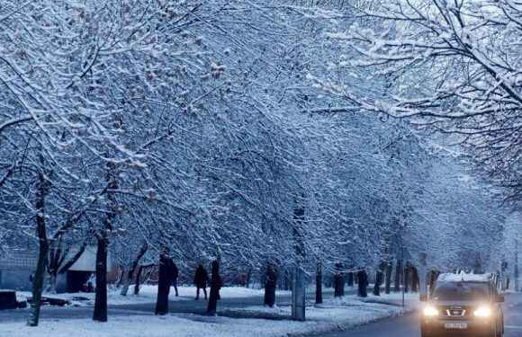 Перший сніг у Польщі може випасти в листопаді