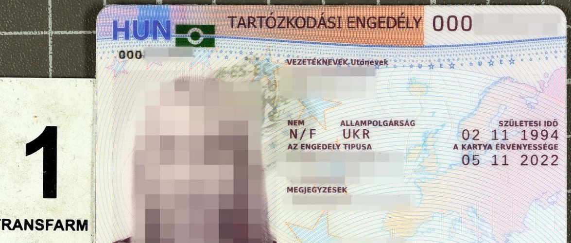 У Польщі затримали трьох українців з фальшивими угорськими посвідками