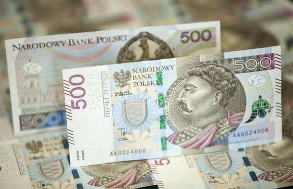 З наступного року в Польщі змінюються правила соцдопомоги «500+»