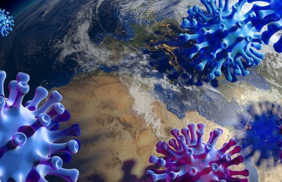 Новий штам коронавірусу виявлено в Польщі 