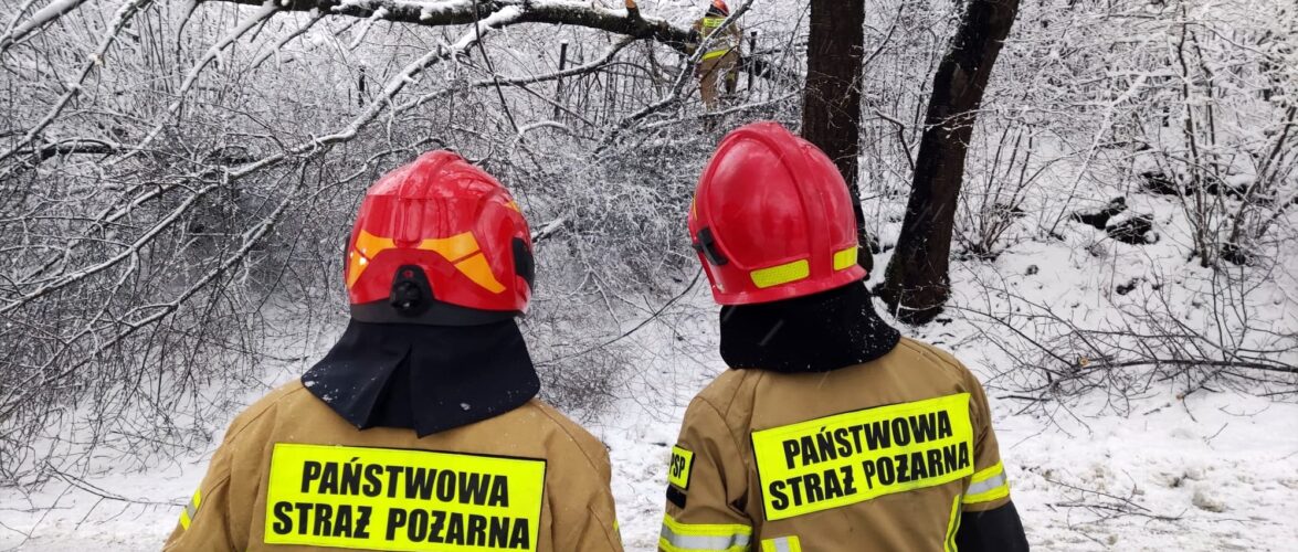 На автомобіль впало дерево, одна особа загинула – наслідки негоди в Польщі