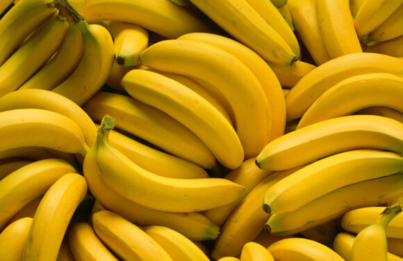 У Польщі в ящиках з бананами знайшли білий порошок. Кокаїн?