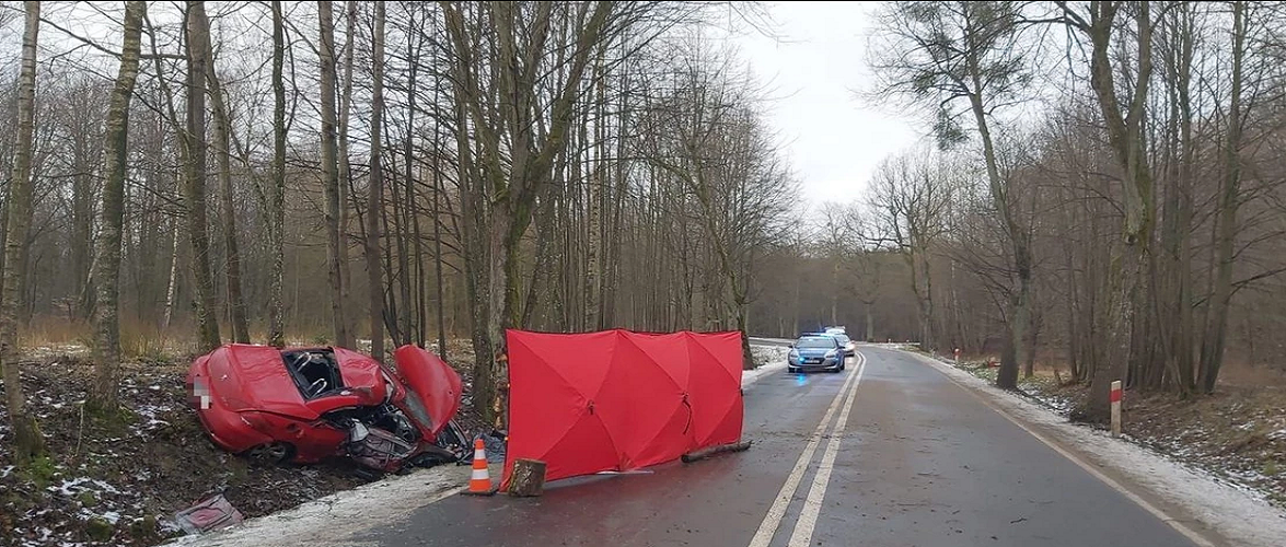 В Польщі жінка не впоралась з керуванням і врізалась в дерево: загинуло 2-є хлопців