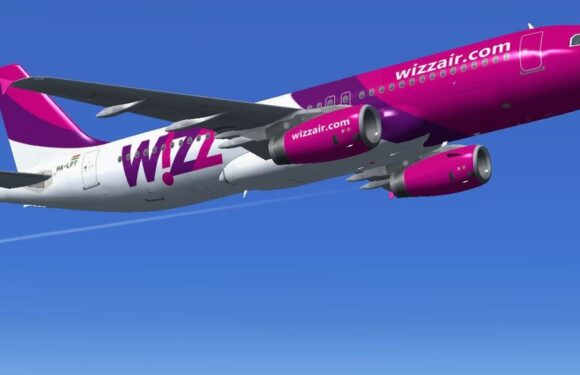 У Польщі працівники Wizz Air  замість підвищення зарплати отримали…смітники