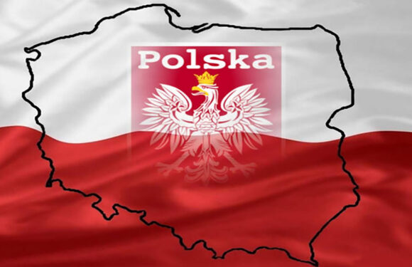 Українці вже можуть отримати карту поляка в Польщі