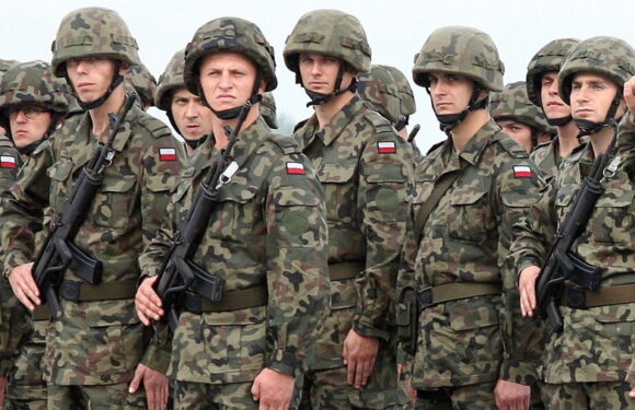Невдовзі в Польщі розпочнеться набір на добровільну військову службу