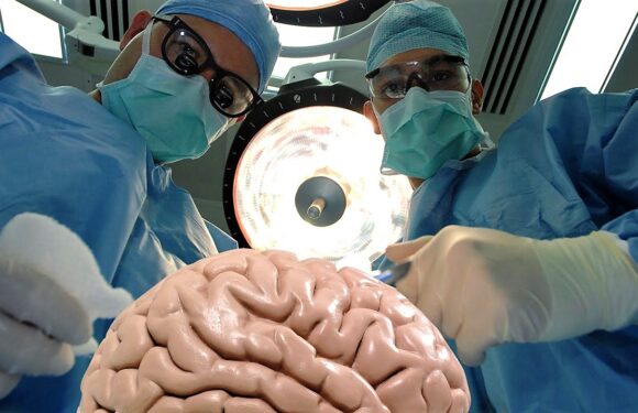Польські нейрохірурги виконали унікальну операцію на мозку з використанням ультразвуку