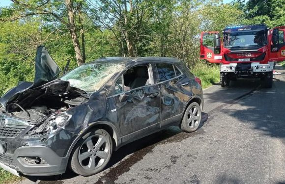 У Польщі авто зіткнулося з зубром. Двоє осіб травмовано, тварину довелося застрелити