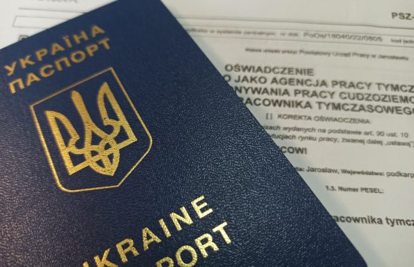 Чи можуть українські біженці працювати в Польщі на підставі дозволу на роботу? 