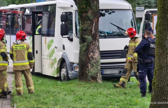 В Польщі автобус врізався в дерево: 10 поранених, серед них – діти