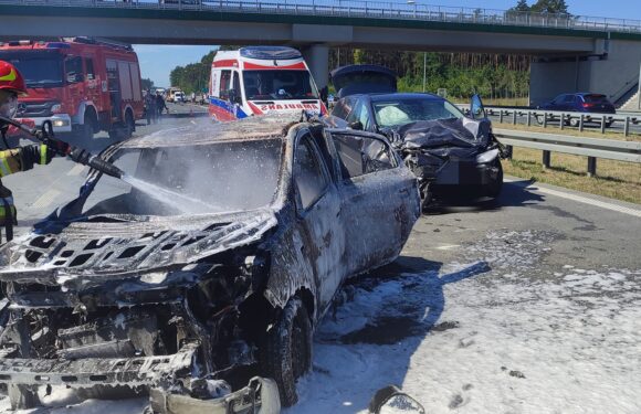 В Польщі невідомий зловмисник підпалив 20 автомобілів