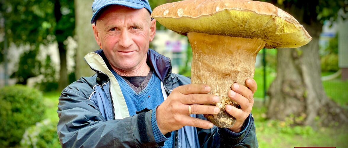 Чоловік в Польщі “вполював” білого гриба на майже 2,5 кг