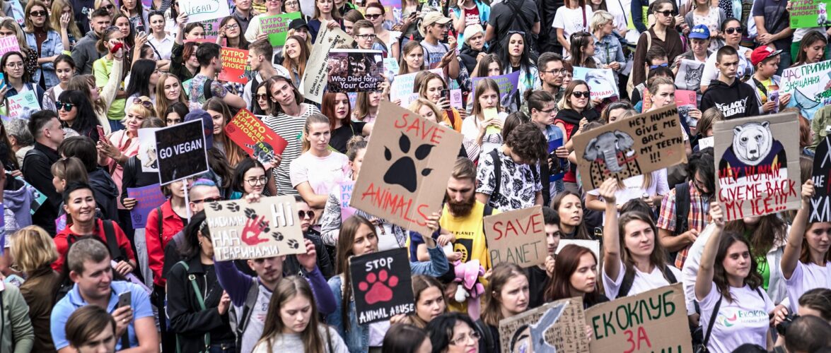 У Варшаві пройде Марш порятунку тварин від війни в Україні