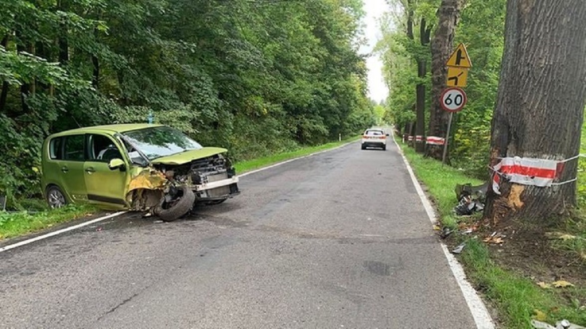 Через бджолу в салоні авто водій у Польщі врізався в дерево