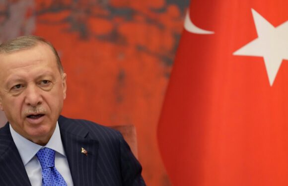 Ердоган заявив, що вибухи в Польщі не мають нічого спільного з росією