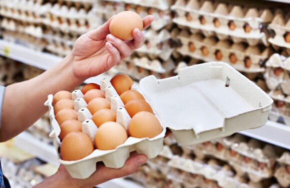 З магазинів Польщі можуть зникнути яйця?