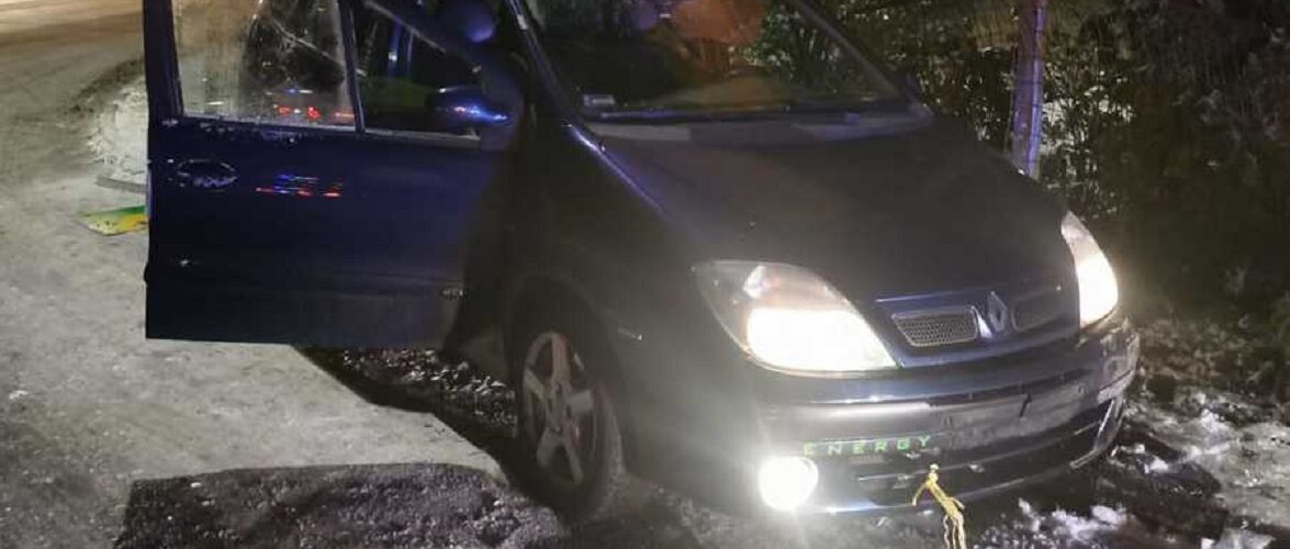 Нетверезий 24-річний українець врізався автівкою в пліт приватного будинку