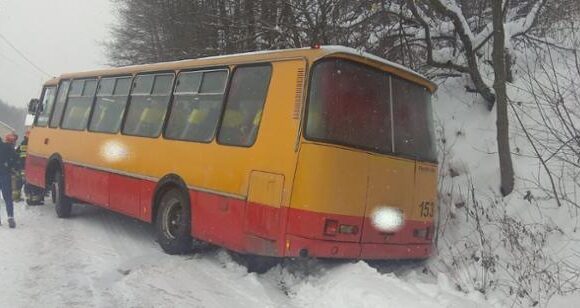 У Польщі автобус, що перевозив 39 дітей, вилетів в кювет 