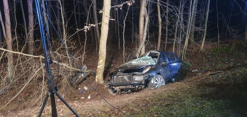 У Польщі автомобіль з підлітками врізався в дерево: 16-річна дівчина загинула