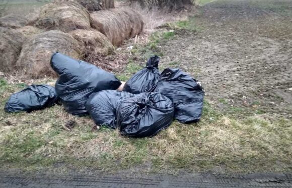 Викинув сміття на чужому полі: поліція Польщі знайшла і оштрафувала іноземця