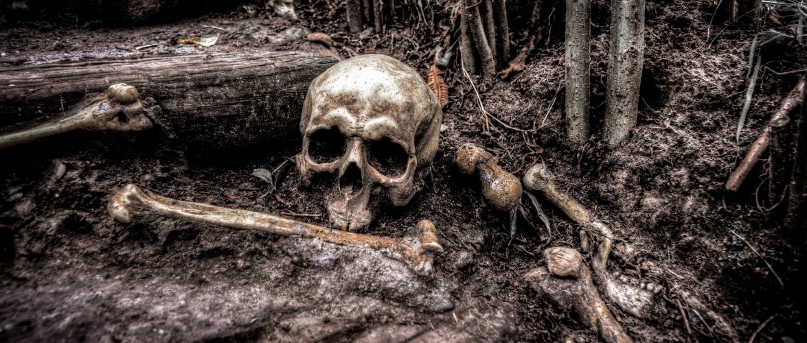 Під час каналізаційних робіт на подвір’ї в Польщі відкопали людські кістки