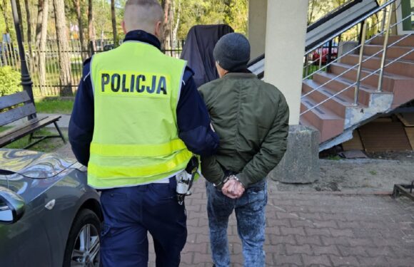 Під амфетаміном і з наркотиками в авто та сумці: в Польщі затримали водія з України