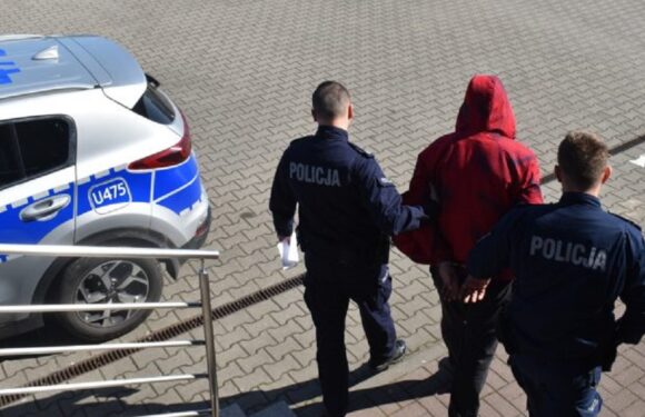 В Польщі затримали українського “кур’єра”, який перевозив через кордон 7 іноземців