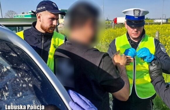 Чергове затримання в Польщі: українець віз 8 нелегалів до німецького кордону